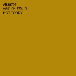 #B38707 - Hot Toddy Color Image